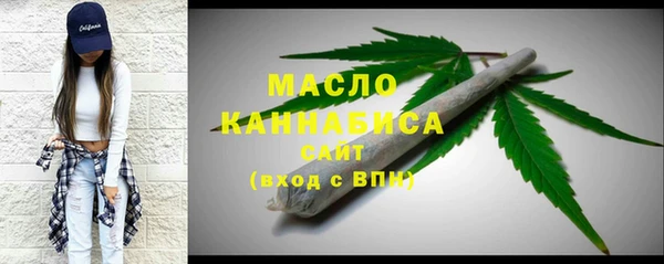 Альфа ПВП Бородино