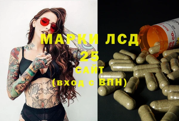 Альфа ПВП Бородино
