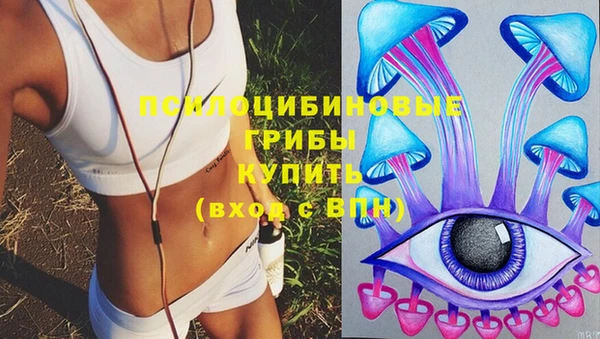 каннабис Богданович