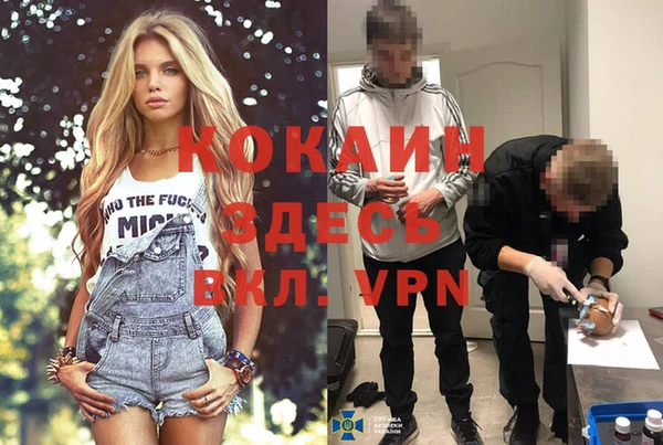 каннабис Богданович