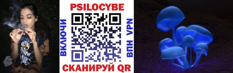 Галлюциногенные грибы Psilocybine cubensis  Купить закладки  Неман 