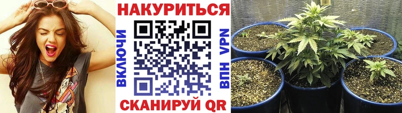 Канабис Ganja  Купить закладки  Неман 